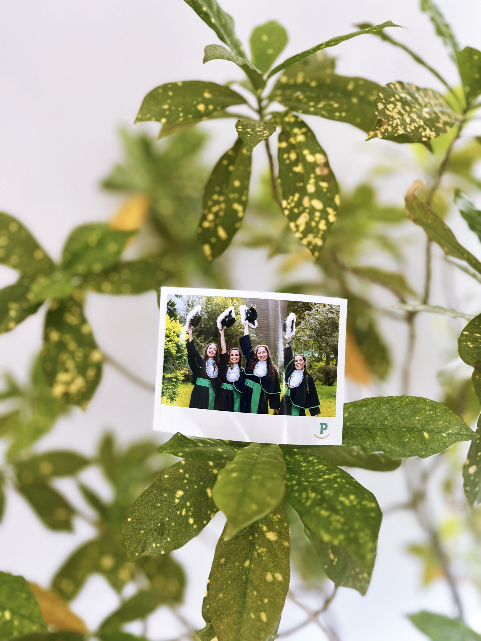 foto polaroid – horizontal